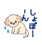 やさしいマルプー『デカ文字・敬語』（個別スタンプ：26）