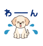 やさしいマルプー『デカ文字・敬語』（個別スタンプ：27）