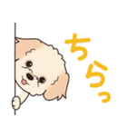 やさしいマルプー『デカ文字・敬語』（個別スタンプ：29）