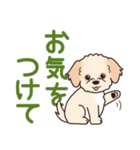 やさしいマルプー『デカ文字・敬語』（個別スタンプ：30）