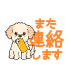 やさしいマルプー『デカ文字・敬語』（個別スタンプ：31）