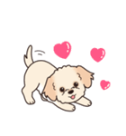 やさしいマルプー『デカ文字・敬語』（個別スタンプ：37）