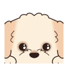 やさしいマルプー『デカ文字・敬語』（個別スタンプ：40）