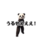 踊る！横揺れ界隈ジャイアントパンダ（個別スタンプ：9）