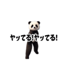 踊る！横揺れ界隈ジャイアントパンダ（個別スタンプ：10）