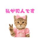 【爆笑】アイドルになった子猫＠面白い台詞（個別スタンプ：2）