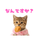 【爆笑】アイドルになった子猫＠面白い台詞（個別スタンプ：6）