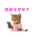 【爆笑】アイドルになった子猫＠面白い台詞（個別スタンプ：8）
