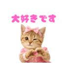 【爆笑】アイドルになった子猫＠面白い台詞（個別スタンプ：12）