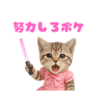 【爆笑】アイドルになった子猫＠面白い台詞（個別スタンプ：13）