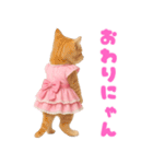 【爆笑】アイドルになった子猫＠面白い台詞（個別スタンプ：23）