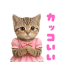 【爆笑】アイドルになった子猫＠面白い台詞（個別スタンプ：26）