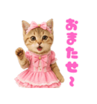 【爆笑】アイドルになった子猫＠面白い台詞（個別スタンプ：28）