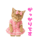 【爆笑】アイドルになった子猫＠面白い台詞（個別スタンプ：29）