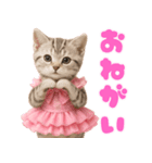 【爆笑】アイドルになった子猫＠面白い台詞（個別スタンプ：30）