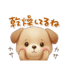 いぬっちの冬（個別スタンプ：6）