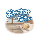 いぬっちの冬（個別スタンプ：16）