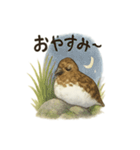 雷鳥のほっこりスタンプ（夏羽・冬羽）（個別スタンプ：2）