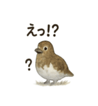 雷鳥のほっこりスタンプ（夏羽・冬羽）（個別スタンプ：4）