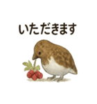 雷鳥のほっこりスタンプ（夏羽・冬羽）（個別スタンプ：11）