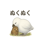 雷鳥のほっこりスタンプ（夏羽・冬羽）（個別スタンプ：13）