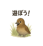 雷鳥のほっこりスタンプ（夏羽・冬羽）（個別スタンプ：14）