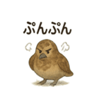 雷鳥のほっこりスタンプ（夏羽・冬羽）（個別スタンプ：18）