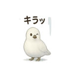 雷鳥のほっこりスタンプ（夏羽・冬羽）（個別スタンプ：21）