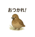 雷鳥のほっこりスタンプ（夏羽・冬羽）（個別スタンプ：22）