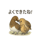 雷鳥のほっこりスタンプ（夏羽・冬羽）（個別スタンプ：23）