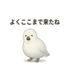 雷鳥のほっこりスタンプ（夏羽・冬羽）（個別スタンプ：24）