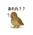 雷鳥のほっこりスタンプ（夏羽・冬羽）（個別スタンプ：28）