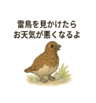 雷鳥のほっこりスタンプ（夏羽・冬羽）（個別スタンプ：35）