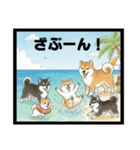 可愛すぎる！日本犬たちの癒し系スタンプ（個別スタンプ：10）