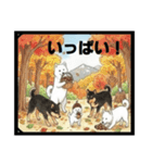 可愛すぎる！日本犬たちの癒し系スタンプ（個別スタンプ：11）