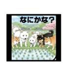 可愛すぎる！日本犬たちの癒し系スタンプ（個別スタンプ：14）