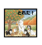 可愛すぎる！日本犬たちの癒し系スタンプ（個別スタンプ：20）