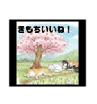 可愛すぎる！日本犬たちの癒し系スタンプ（個別スタンプ：23）
