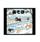 可愛すぎる！日本犬たちの癒し系スタンプ（個別スタンプ：24）