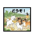 可愛すぎる！日本犬たちの癒し系スタンプ（個別スタンプ：25）