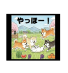 可愛すぎる！日本犬たちの癒し系スタンプ（個別スタンプ：30）
