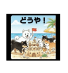 可愛すぎる！日本犬たちの癒し系スタンプ（個別スタンプ：31）