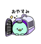 んぱんぱ群挨拶ゆるいかも（個別スタンプ：3）