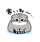 ゆるっとマヌルちゃん21 冬（個別スタンプ：1）