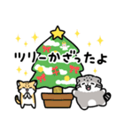 ゆるっとマヌルちゃん21 冬（個別スタンプ：13）