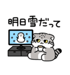 ゆるっとマヌルちゃん21 冬（個別スタンプ：17）