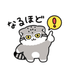 ゆるっとマヌルちゃん21 冬（個別スタンプ：29）