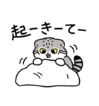 ゆるっとマヌルちゃん21 冬（個別スタンプ：34）