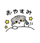 ゆるっとマヌルちゃん21 冬（個別スタンプ：40）