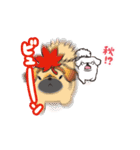 動くペキニーズ！！8秋とんで冬（個別スタンプ：1）